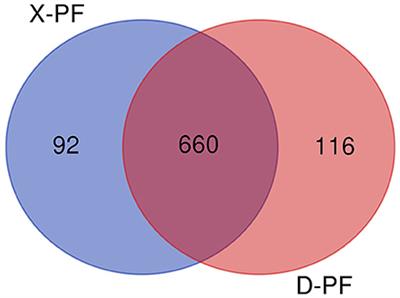 Genome-Wide Analysis of microRNAs Identifies the Lipid Metabolism Pathway to Be a Defining Factor in Adipose Tissue From Different Sheep